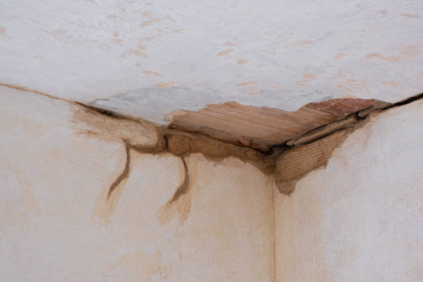  Ossian, IN Water damage restoration Pros