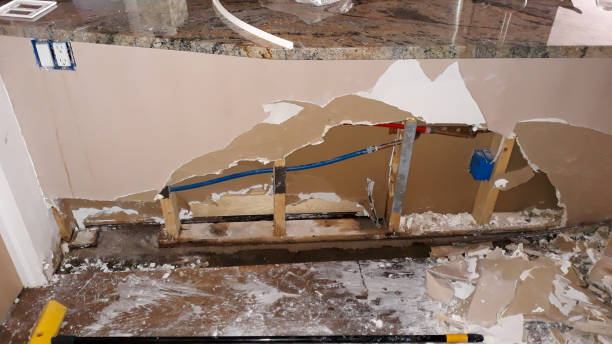 Best Basement water damage restoration  in Ossian, IN