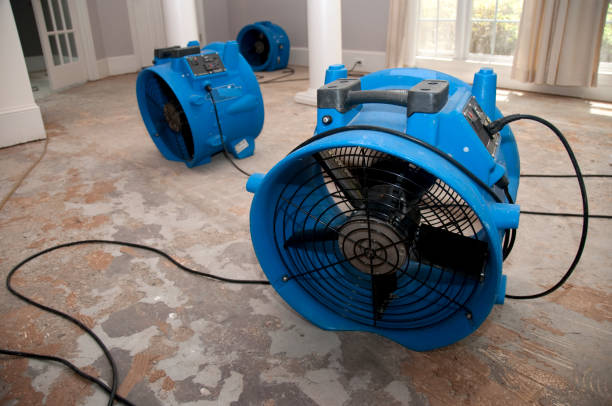 Best Water damage restoration process  in Ossian, IN