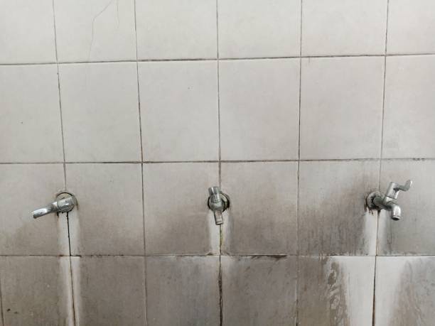 Best Water damage restoration near me  in Ossian, IN